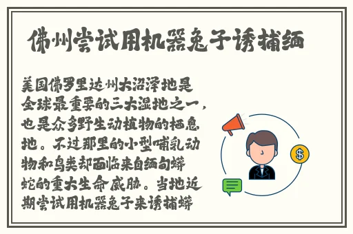 一性一爱一乱一怆一情